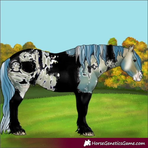 Horse Color:ERROR: UNKNOWN ANOMALY