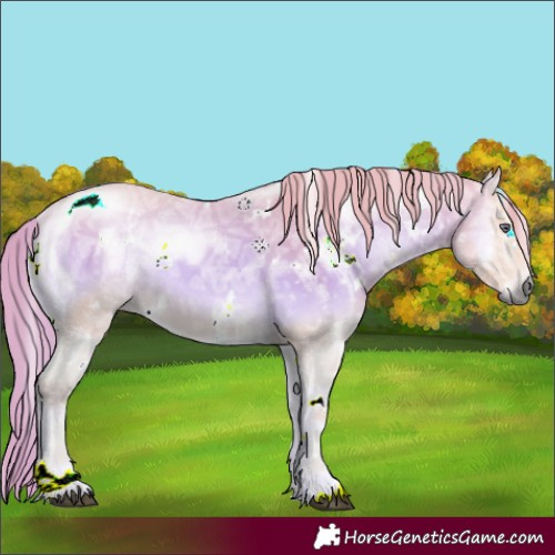 Horse Color:Gray Watercolor White Spotted Liver Red Onyx Chinchilla Ice Appaloosa 