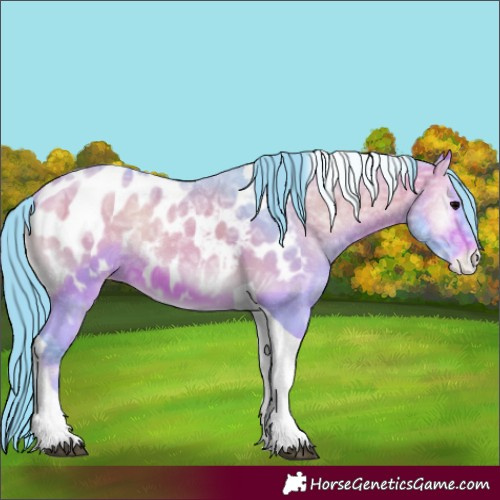 Horse Color:Watercolor Chocolate Bay Ice Onyx Tobiano Appaloosa 