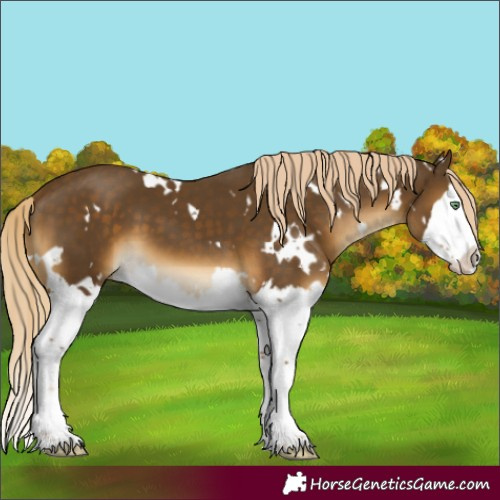 Horse Color:White Spotted Chocolate Palomino Mushroom Splash 