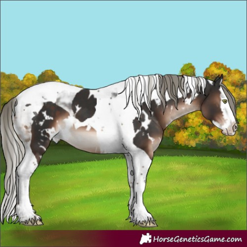 Horse Color:White Spotted Liver Chestnut Mushroom Splash Tobiano