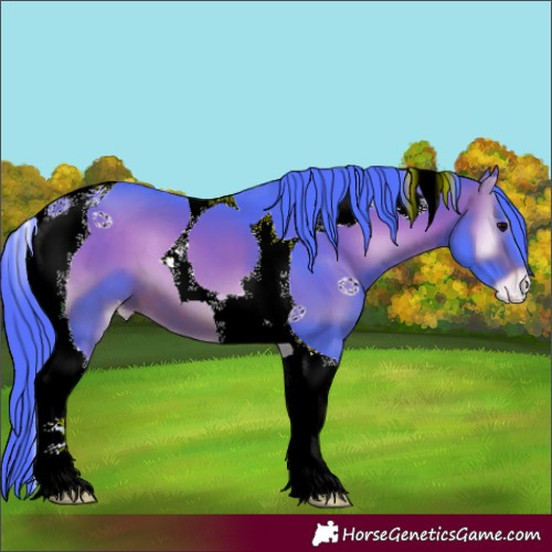 Horse Color:Watercolor Chocolate Brown Onyx Tobiano Appaloosa