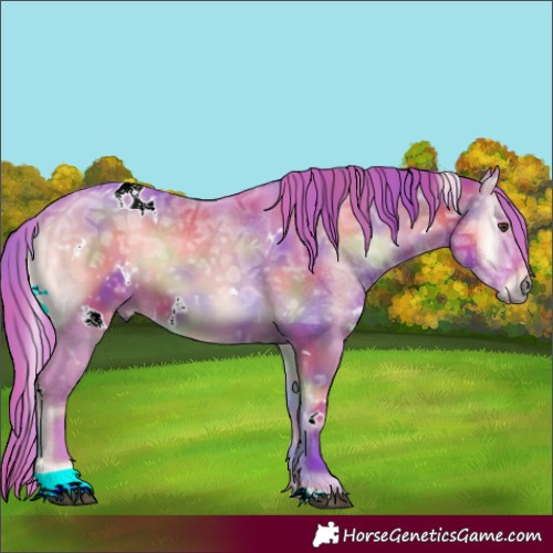 Horse Color:Nacre Watercolor White Spotted Liver Red Onyx Ice