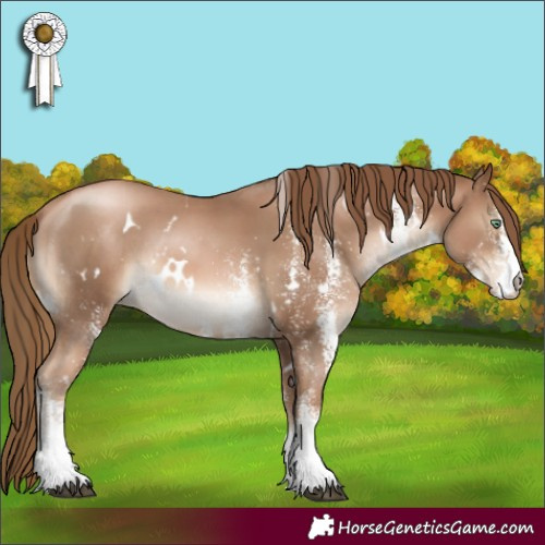 Horse Color:White Spotted Liver Chestnut Pearl Rabicano 