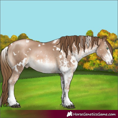 Horse Color:White Spotted Liver Chestnut Pearl 