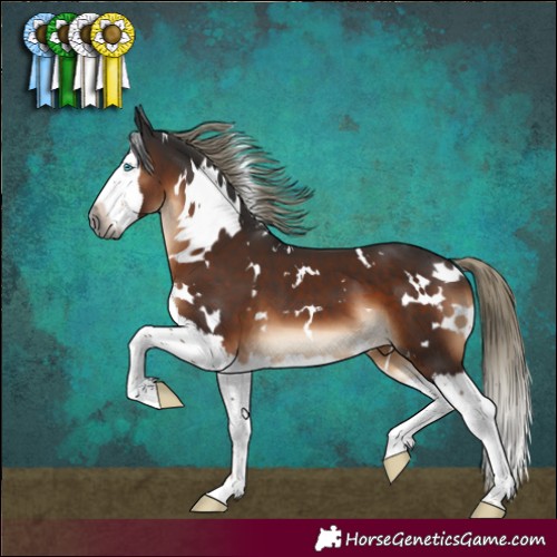Horse Color:Gray White Spotted Liver Chestnut Mushroom Splash 