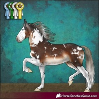 Horse Color:Gray White Spotted Liver Chestnut Mushroom Splash