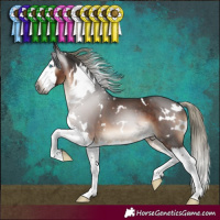 Horse Color:Gray White Spotted Liver Chestnut Mushroom Splash 