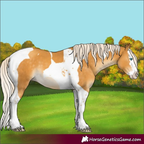 Horse Color:Gold Cream Champagne Mushroom Splash Tobiano 