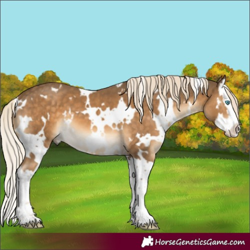 Horse Color:White Spotted Chocolate Palomino Mushroom Splash