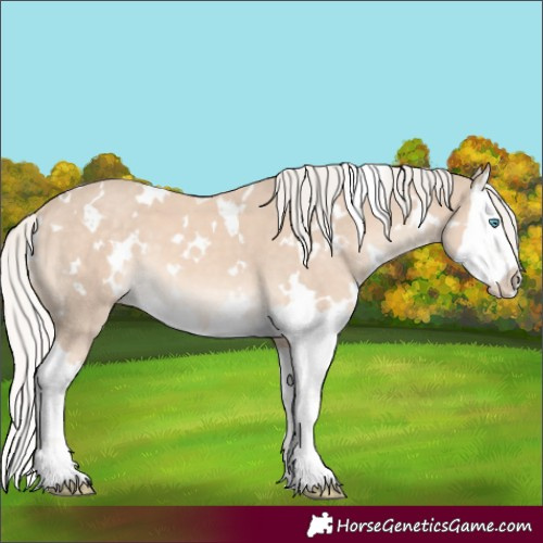 Horse Color:White Spotted Cremello Mushroom Splash