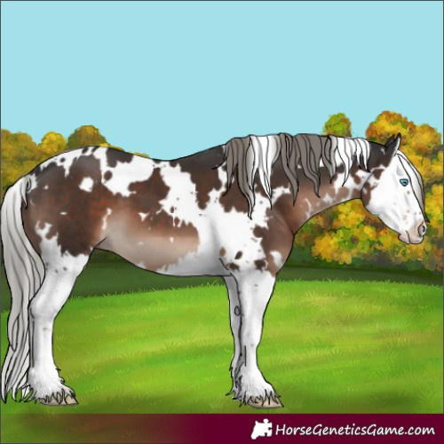 Horse Color:White Spotted Liver Chestnut Mushroom Splash 
