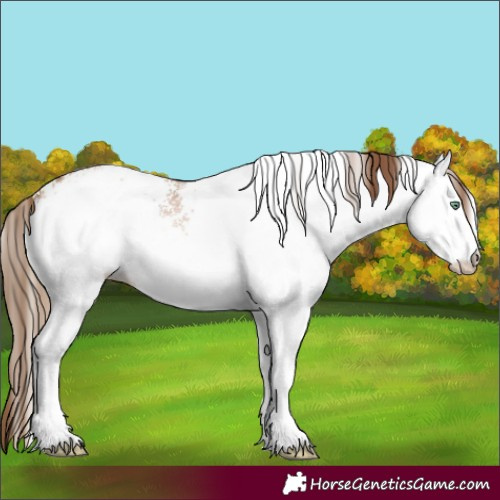 Horse Color:White Spotted Liver Chestnut Pearl 