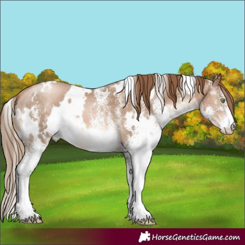 Horse Color:White Spotted Liver Chestnut Pearl