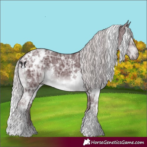 Horse Color:White Spotted Chocolate Silver Black Chinchilla Ice 