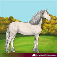 Horse Color:Cremello Splash  and Cremello Splash 