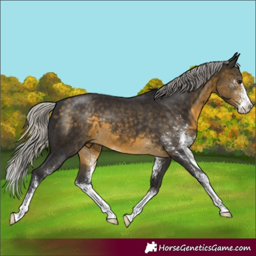 Horse Color:Silver Buckskin Sabino 