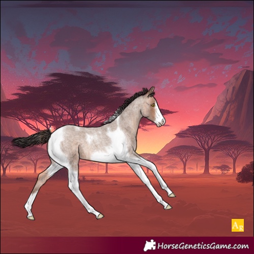 Horse Color:Sable Champagne Roan Tobiano Frame 