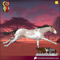 Horse Color:Sable Champagne Roan Tobiano Frame