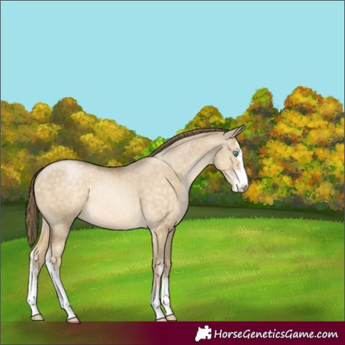 Horse Color:Buckskin Pearl Dun Sabino 