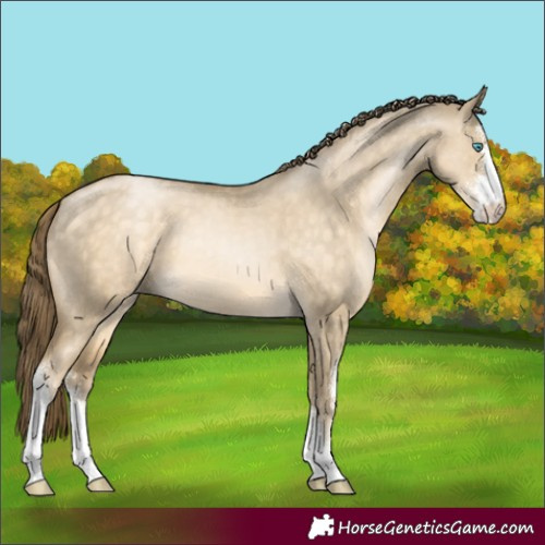 Horse Color:Buckskin Pearl Dun Sabino 