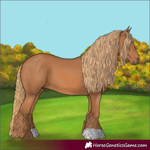 Horse Color:Chestnut 