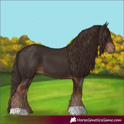 Horse Color:Liver Chestnut 