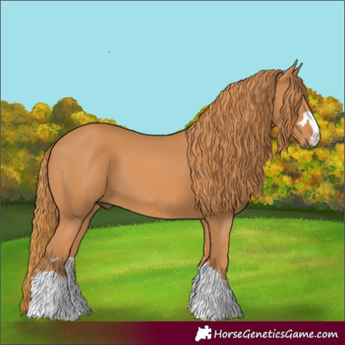 Horse Color:Chestnut 