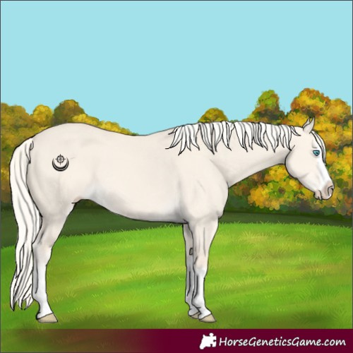 Horse Color:Cremello Dun Splash