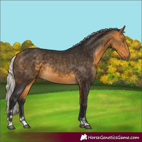 Horse Color:Silver Buckskin Rabicano 