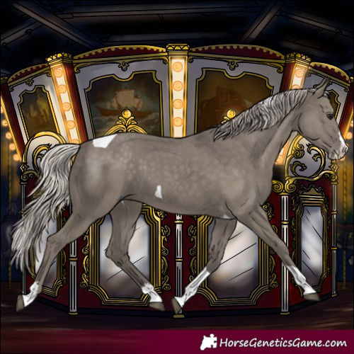 Horse Color:Silver Grullo Splash Tobiano 