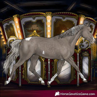 Horse Color:Silver Grullo Splash Tobiano 