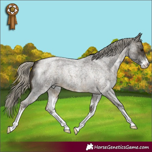 Horse Color:Silver Buckskin Roan Sabino
