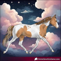 Horse Color:Chestnut Tobiano