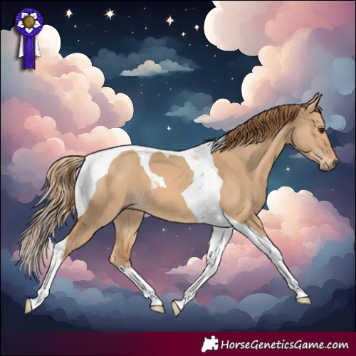 Horse Color:Red Dun Tobiano