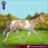Horse Color:Red Dun Tobiano