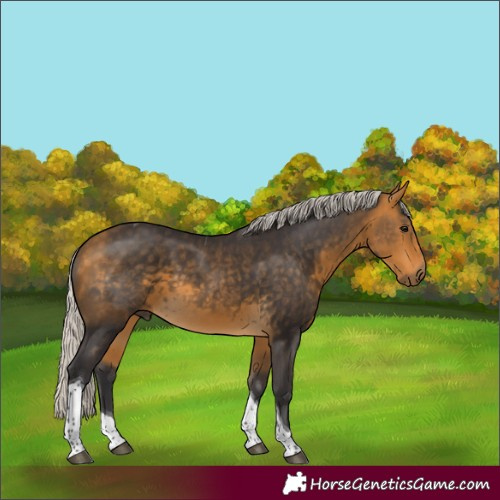 Horse Color:Silver Buckskin Tobiano 