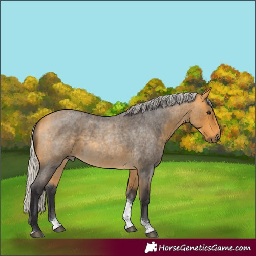 Horse Color:Silver Buckskin Roan Tobiano Rabicano 