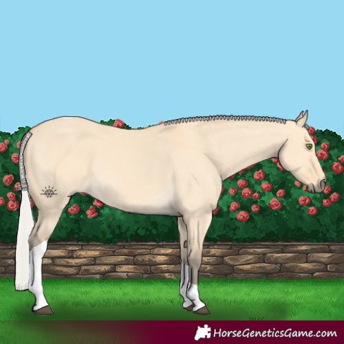 Horse Color:Silver Buckskin Dun Tobiano