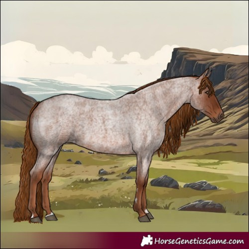 Horse Color:Red Roan 