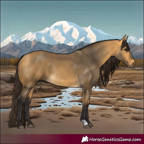 Horse Color:Buckskin