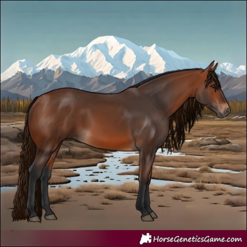 Horse Color:Bay Rabicano