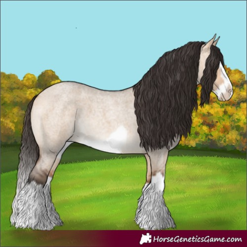 Horse Color:Bay Roan Dun Splash Frame 