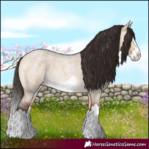 Horse Color:Bay Roan Dun Splash Frame 