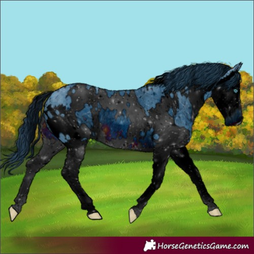 Horse Color:ERROR: UNKNOWN ANOMALY