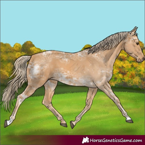 Horse Color:Palomino Ice