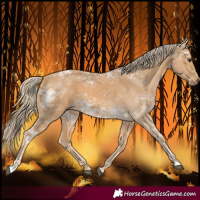 Horse Color:Palomino Ice 