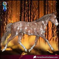 Horse Color:Chestnut Ice Sabino 