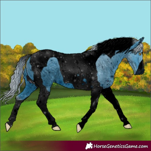 Horse Color:ERROR: UNKNOWN ANOMALY