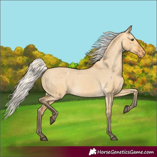 Horse Color:Silver Buckskin Dun Varnish 